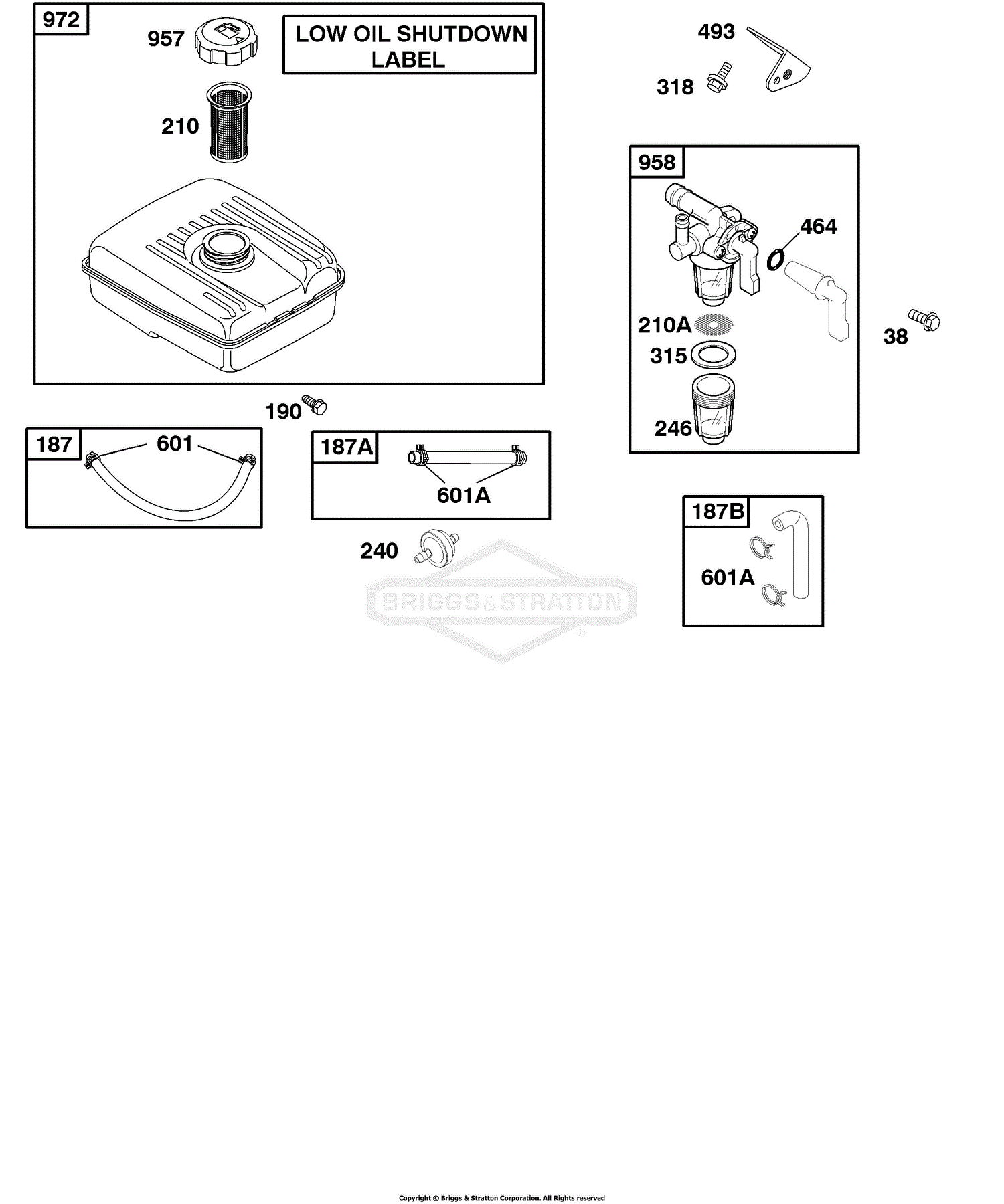 Briggs and Stratton 118432-0127-B1 Parts Diagram for Fuel Supply