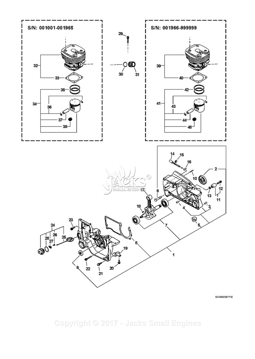 Echo QV-8000 Type 1E Parts Diagram for Engine, Cylinder, Oil Cap, Chain ...