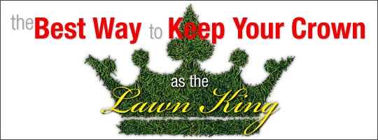 The Best Way to Keep Your Crown as the Lawn King