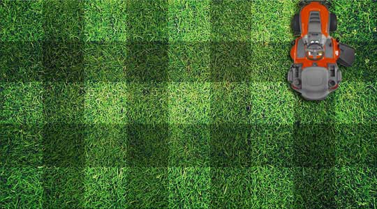 Checkered Lawn Pattern