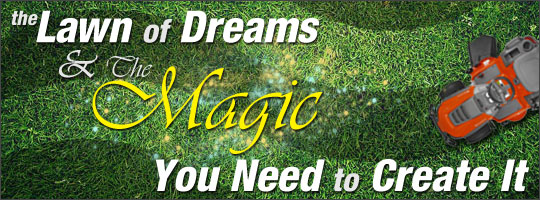The Lawn of Dreams and the Magic You Need to Create It