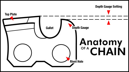 Chainsaw Cutter Diagram