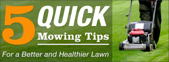 5 Quick Mowing Tips for a Better and Healthier Lawn