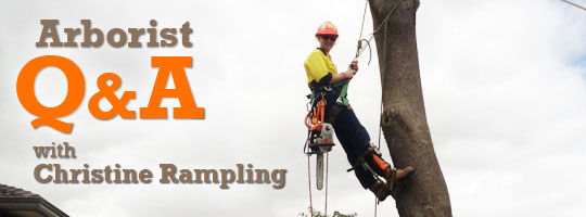 Arborist Q and A with Aussie Christine Rampling