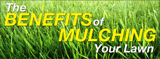 The Benefits of Mulching Your Lawn