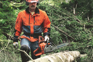Cut and carve with chainsaws, pole saws, and power cutters from Mowers at Jacks.